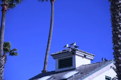 DSC_0817 (Large).JPG